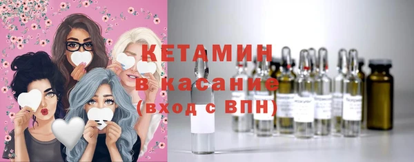дмт Богданович