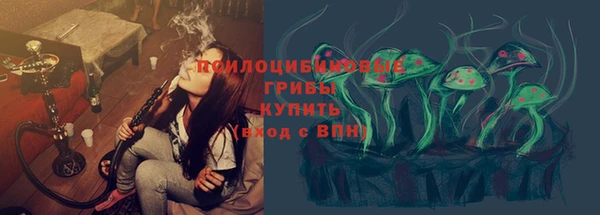 твердый Богородицк