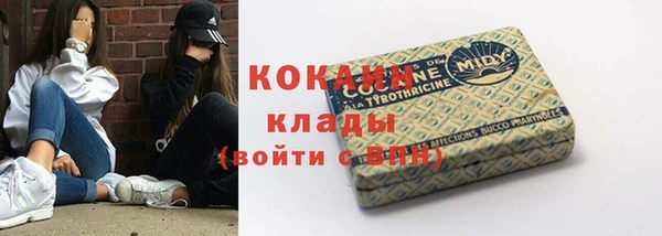 твердый Богородицк