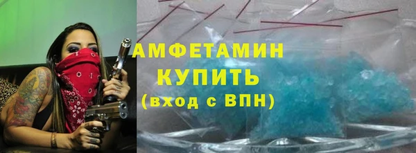 дмт Богданович