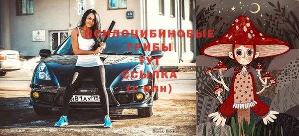 дмт Богданович