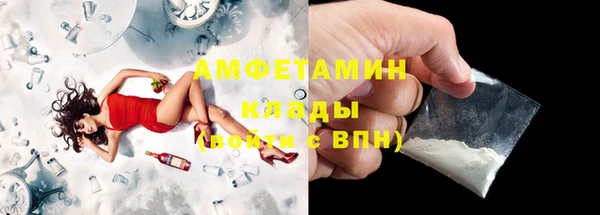дмт Богданович