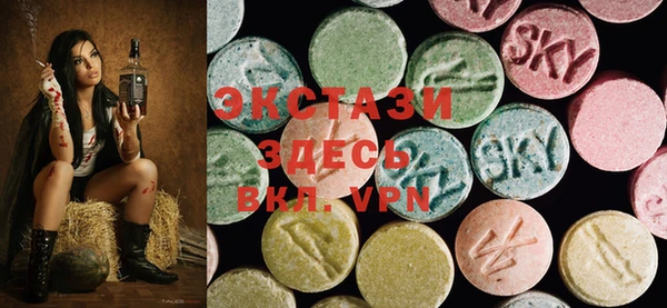 дмт Богданович