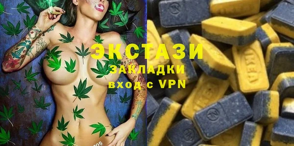 дмт Богданович