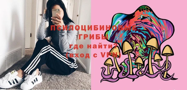 скорость Богородск