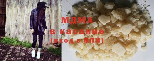 дмт Богданович
