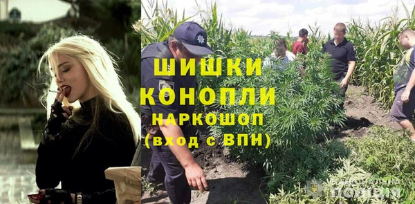 твердый Богородицк