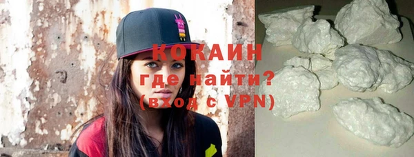 дмт Богданович