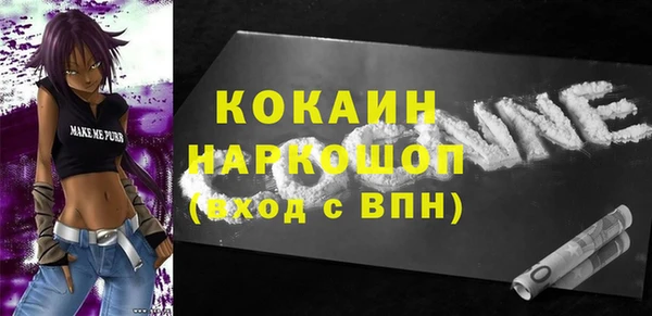 дмт Богданович