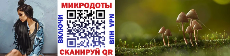 Галлюциногенные грибы Cubensis  купить наркотики сайты  Яранск 